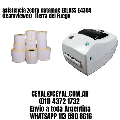 asistencia zebra datamax ECLASS E4304 (teamviewer)  Tierra del Fuego