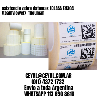 asistencia zebra datamax ECLASS E4304 (teamviewer)  Tucuman