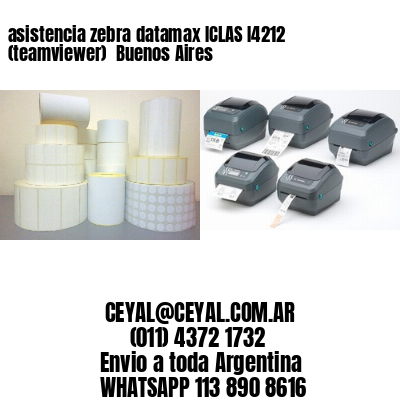 asistencia zebra datamax ICLAS I4212 (teamviewer)  Buenos Aires