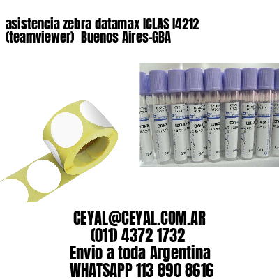 asistencia zebra datamax ICLAS I4212 (teamviewer)  Buenos Aires-GBA