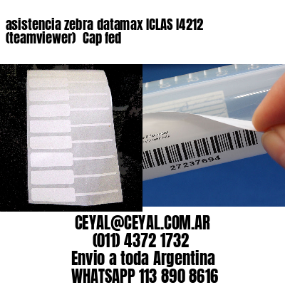 asistencia zebra datamax ICLAS I4212 (teamviewer)  Cap fed
