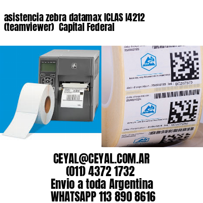asistencia zebra datamax ICLAS I4212 (teamviewer)  Capital Federal
