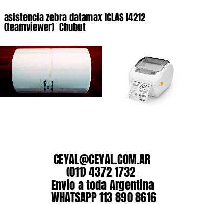 asistencia zebra datamax ICLAS I4212 (teamviewer)  Chubut