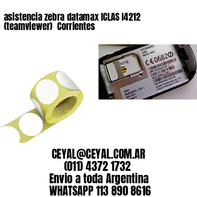asistencia zebra datamax ICLAS I4212 (teamviewer)  Corrientes