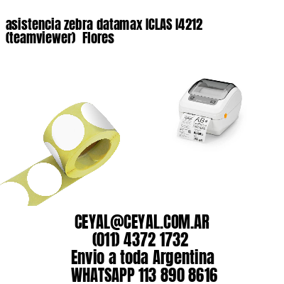 asistencia zebra datamax ICLAS I4212 (teamviewer)  Flores