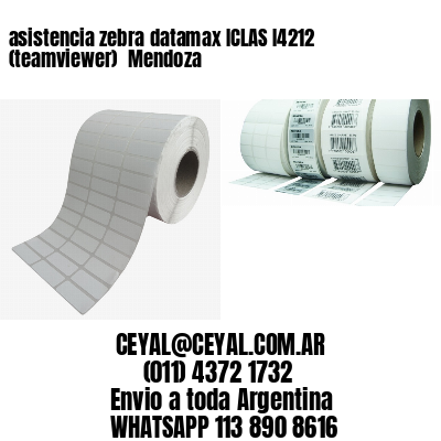 asistencia zebra datamax ICLAS I4212 (teamviewer)  Mendoza