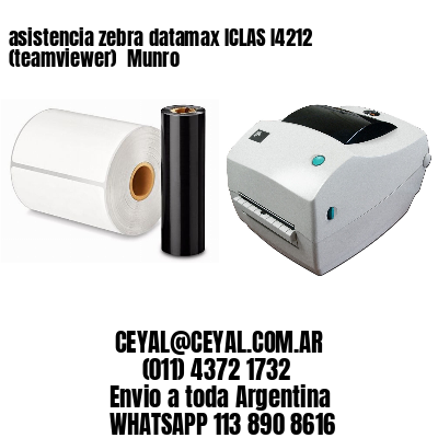 asistencia zebra datamax ICLAS I4212 (teamviewer)  Munro
