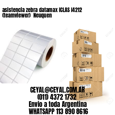 asistencia zebra datamax ICLAS I4212 (teamviewer)  Neuquen