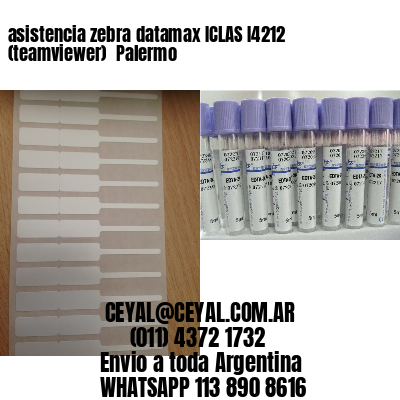 asistencia zebra datamax ICLAS I4212 (teamviewer)  Palermo