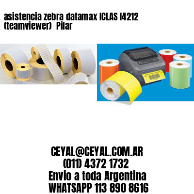asistencia zebra datamax ICLAS I4212 (teamviewer)  Pilar