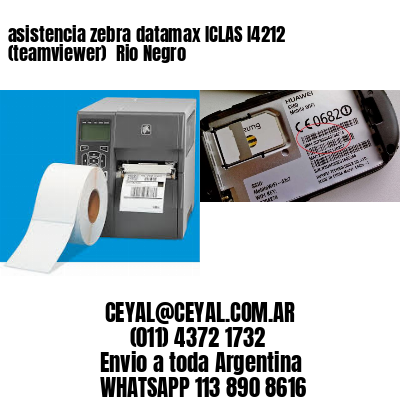 asistencia zebra datamax ICLAS I4212 (teamviewer)  Rio Negro
