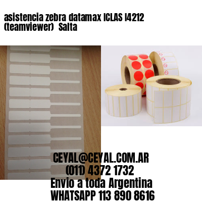 asistencia zebra datamax ICLAS I4212 (teamviewer)  Salta