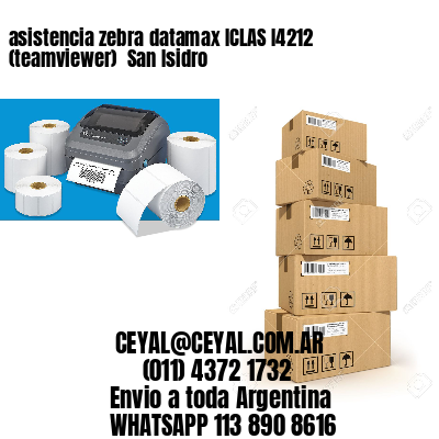 asistencia zebra datamax ICLAS I4212 (teamviewer)  San Isidro