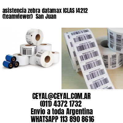 asistencia zebra datamax ICLAS I4212 (teamviewer)  San Juan