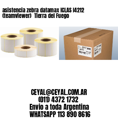 asistencia zebra datamax ICLAS I4212 (teamviewer)  Tierra del Fuego