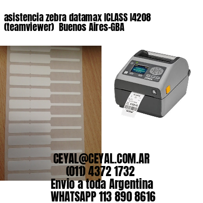 asistencia zebra datamax ICLASS I4208 (teamviewer)  Buenos Aires-GBA
