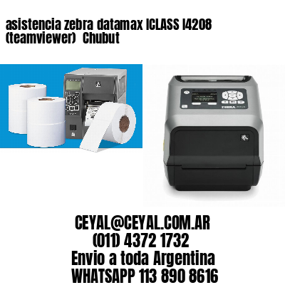asistencia zebra datamax ICLASS I4208 (teamviewer)  Chubut