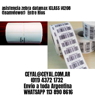 asistencia zebra datamax ICLASS I4208 (teamviewer)  Entre Rios