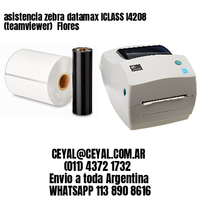 asistencia zebra datamax ICLASS I4208 (teamviewer)  Flores