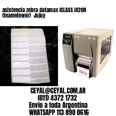 asistencia zebra datamax ICLASS I4208 (teamviewer)  Jujuy