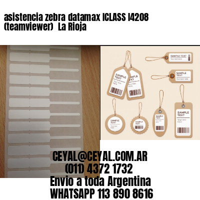 asistencia zebra datamax ICLASS I4208 (teamviewer)  La Rioja