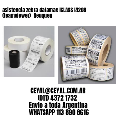 asistencia zebra datamax ICLASS I4208 (teamviewer)  Neuquen