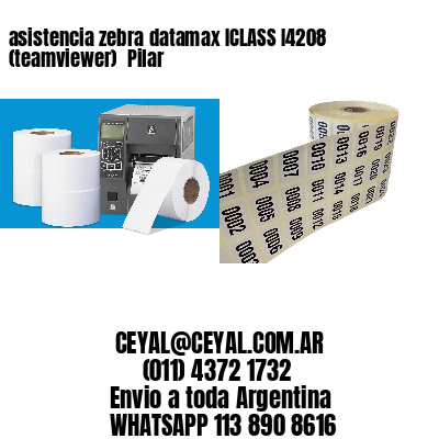 asistencia zebra datamax ICLASS I4208 (teamviewer)  Pilar