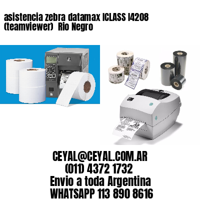 asistencia zebra datamax ICLASS I4208 (teamviewer)  Rio Negro