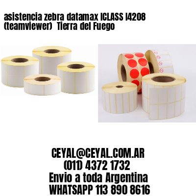 asistencia zebra datamax ICLASS I4208 (teamviewer)  Tierra del Fuego