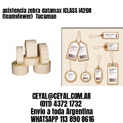 asistencia zebra datamax ICLASS I4208 (teamviewer)  Tucuman