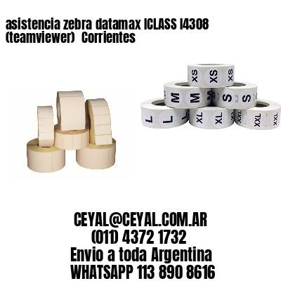 asistencia zebra datamax ICLASS I4308 (teamviewer)  Corrientes