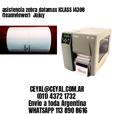 asistencia zebra datamax ICLASS I4308 (teamviewer)  Jujuy