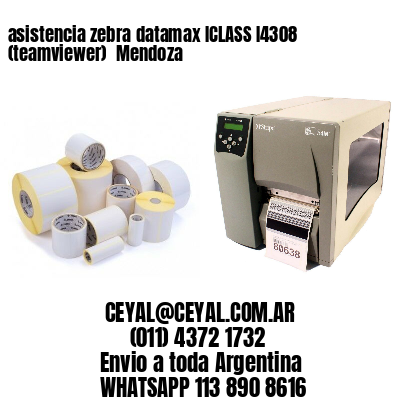 asistencia zebra datamax ICLASS I4308 (teamviewer)  Mendoza
