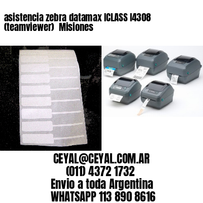 asistencia zebra datamax ICLASS I4308 (teamviewer)  Misiones