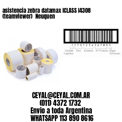 asistencia zebra datamax ICLASS I4308 (teamviewer)  Neuquen