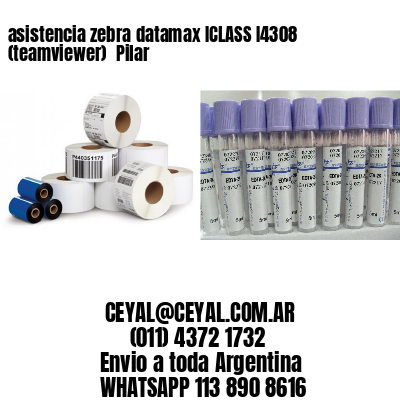 asistencia zebra datamax ICLASS I4308 (teamviewer)  Pilar