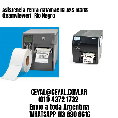 asistencia zebra datamax ICLASS I4308 (teamviewer)  Rio Negro
