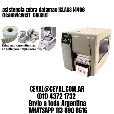 asistencia zebra datamax ICLASS I4406 (teamviewer)  Chubut