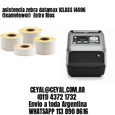 asistencia zebra datamax ICLASS I4406 (teamviewer)  Entre Rios