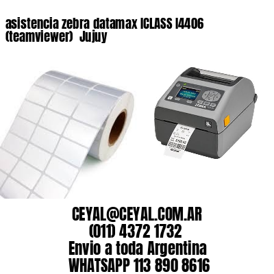 asistencia zebra datamax ICLASS I4406 (teamviewer)  Jujuy