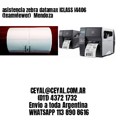 asistencia zebra datamax ICLASS I4406 (teamviewer)  Mendoza