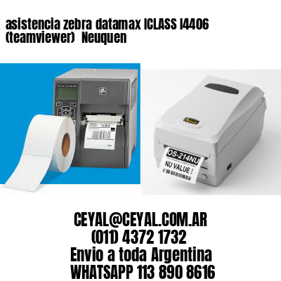 asistencia zebra datamax ICLASS I4406 (teamviewer)  Neuquen