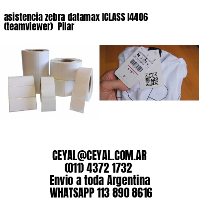 asistencia zebra datamax ICLASS I4406 (teamviewer)  Pilar