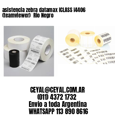 asistencia zebra datamax ICLASS I4406 (teamviewer)  Rio Negro