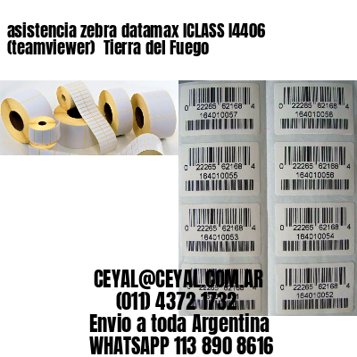 asistencia zebra datamax ICLASS I4406 (teamviewer)  Tierra del Fuego