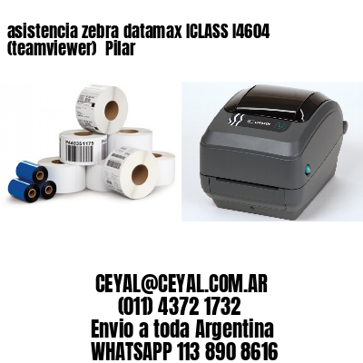 asistencia zebra datamax ICLASS I4604 (teamviewer)  Pilar