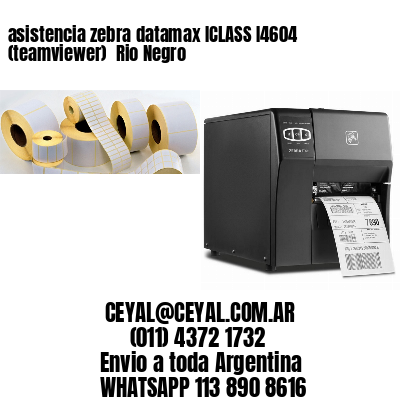 asistencia zebra datamax ICLASS I4604 (teamviewer)  Rio Negro