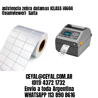 asistencia zebra datamax ICLASS I4604 (teamviewer)  Salta