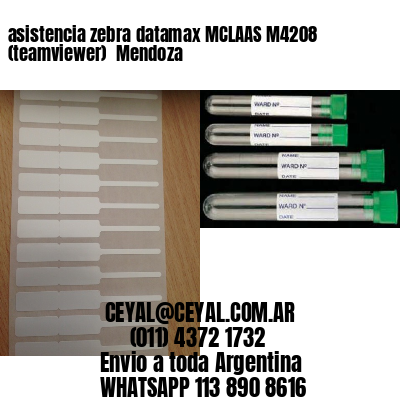 asistencia zebra datamax MCLAAS M4208 (teamviewer)  Mendoza