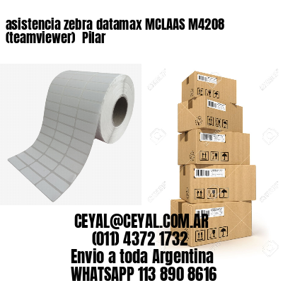 asistencia zebra datamax MCLAAS M4208 (teamviewer)  Pilar